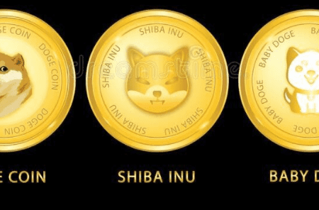 Baby Doge Coin on a roll: Surpasses Shiba Inu in total number of holders