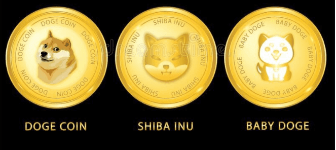Doge coin baby The 5