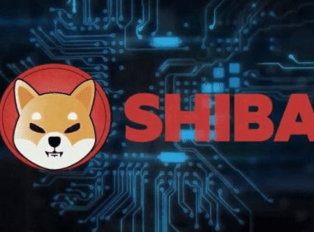 Shiba Inu lists with a riskometer on CoinSwitch, India’s largest crypto trading platform